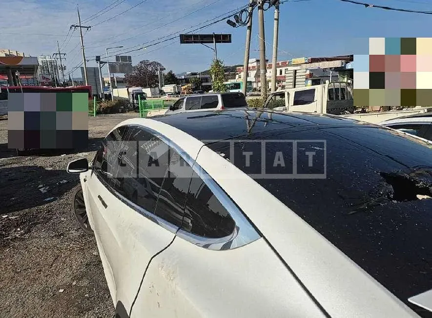 Photo 2 of 35: 2019 Tesla Model X Long Range — Korean insurance auction