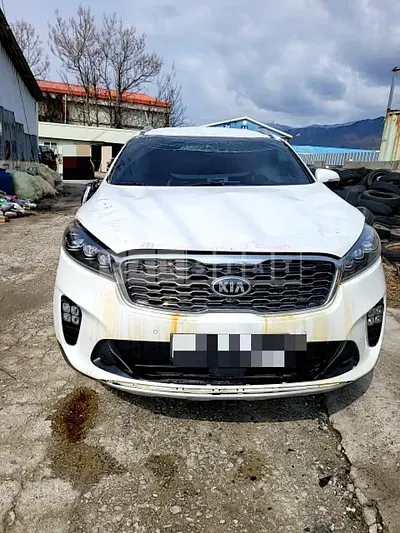 Photo 1 of 15: 2020 Kia Sorento 2.0 (Gasoline), VIN KNAPH811BLA645981 — Korean insurance auction