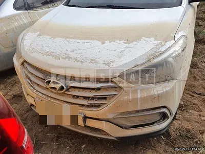 Photo 1 of 8: 2015 Hyundai Calm Santa Fe 2.0 — Korean insurance auction