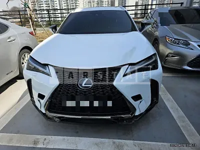 2020 Lexus UX250h 2WD