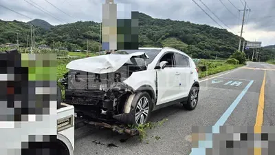 Photo 1 of 3: 2015 Kia Sportage R — Korean insurance auction