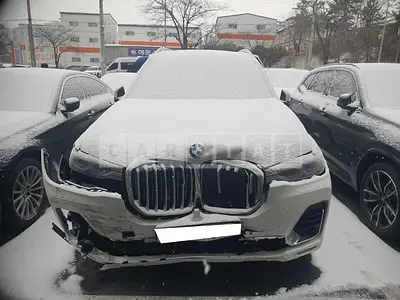 2020 BMW X7 xDrive 30d