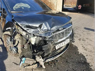 Photo 1 of 8: 2016 Kia Carnival, VIN KNAMB81ABGS244026 — Korean insurance auction