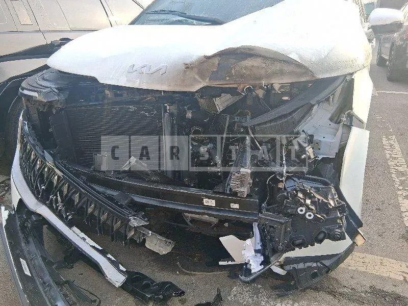 Photo 2 of 15: 2025 Kia Carnivals — Korean insurance auction