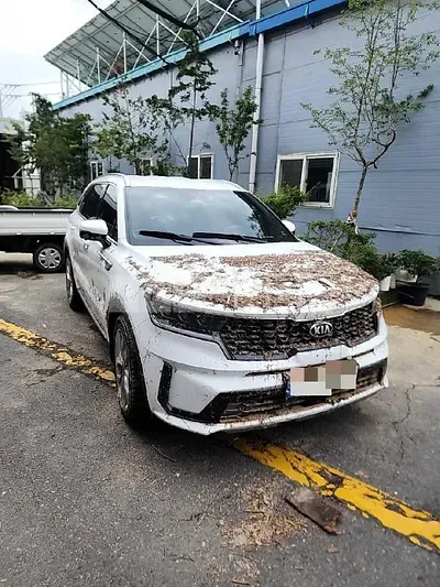 Photo 1 of 30: 2021 Kia Sorento — Korean insurance auction