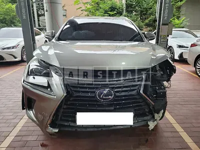 Photo 1 of 45: 2019 Lexus NX300h — Korean insurance auction