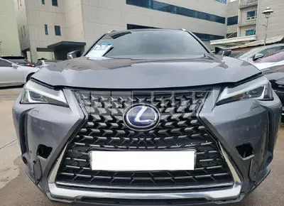 Photo 1 of 41: 2019 Lexus Ux 250h 2WD, VIN JTHY6JBH1K2001609 — Korean insurance auction