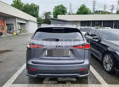 2019 lexus nx300h
