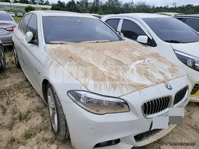 Photo 1 of 10: 2016 BMW 520d xDrive, VIN WBA5E7103GG158703 — Korean insurance auction
