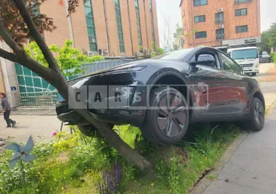 Photo 1 of 27: 2025 Tesla Model Y LongRange — Korean insurance auction