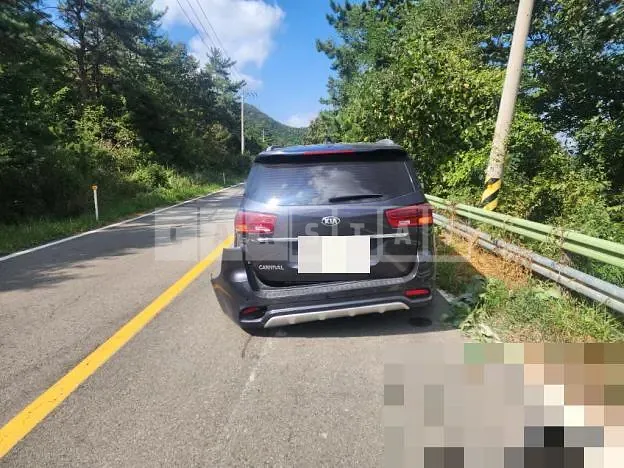Photo 2 of 19: 2019 Kia Carnivals — Korean insurance auction