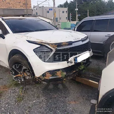 Photo 1 of 11: 2022 Kia Sportage, VIN KNAPX81GBNK009060 — Korean insurance auction