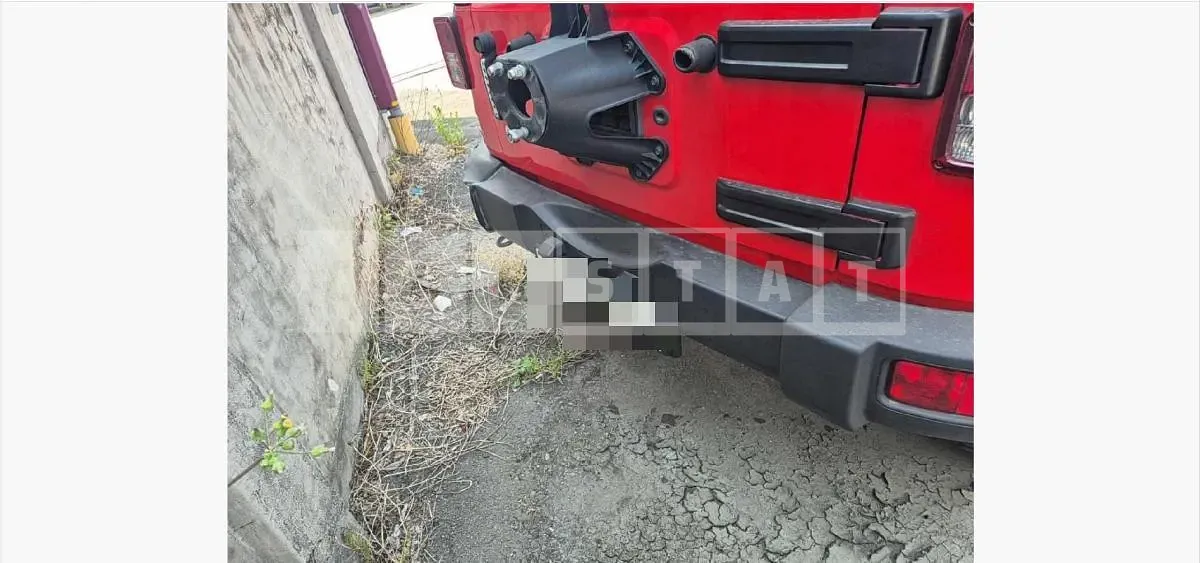 Photo 2 of 29: 2018 Jeep Ziplanger 3.6 Sahara — Korean insurance auction