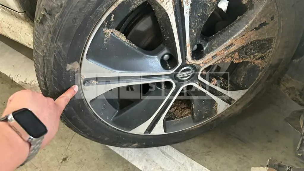 Photo 2 of 14: 2019 Nissan Leaf — Korean insurance auction