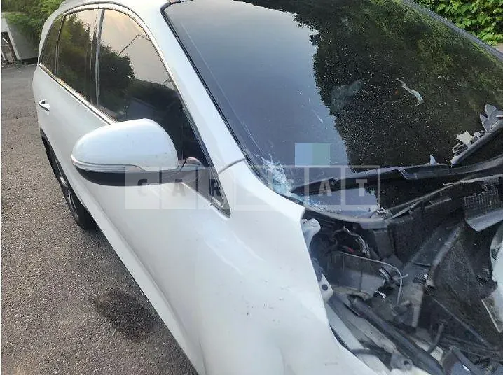 Photo 2 of 14: 2019 Kia Sorento 2.0 — Korean insurance auction