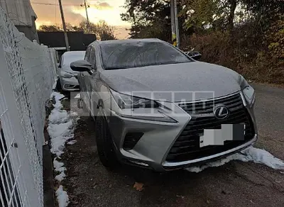 Photo 1 of 34: 2019 Lexus NX300h — Korean insurance auction