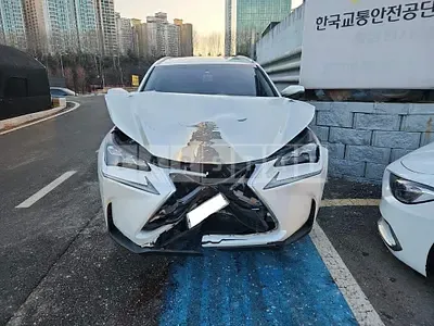 2016 Lexus NX300h