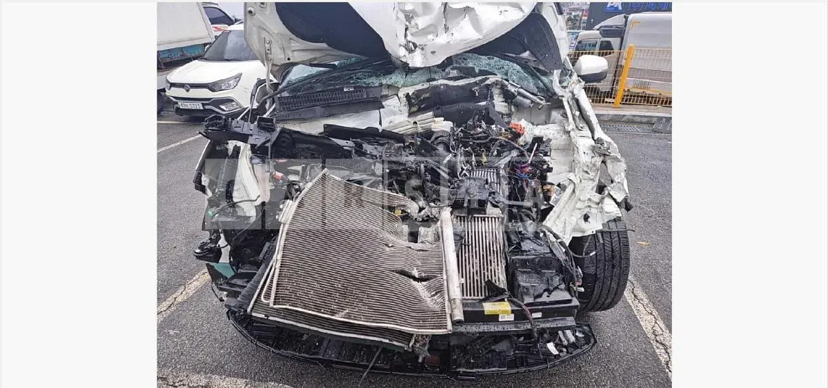 Photo 2 of 29: 2021 Kia Carnivals — Korean insurance auction