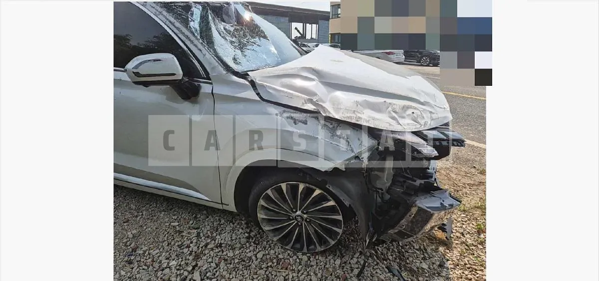 Photo 2 of 28: 2023 Hyundai Palisade — Korean insurance auction