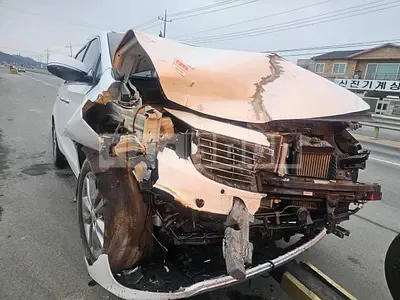Photo 1 of 7: 2017 Kia Carnival, VIN KNAME81ABJS383239 — Korean insurance auction