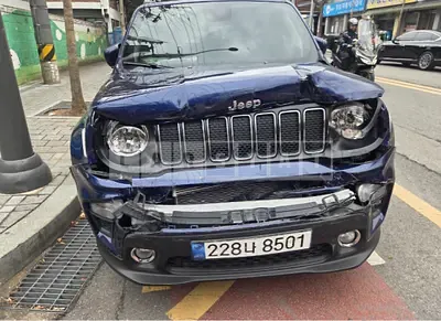 2021 Jeep Zip Renegade 2.4 FWD
