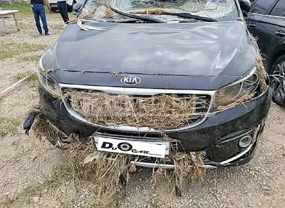 Photo 1 of 16: 2017 Kia Carnival, VIN KNAMC81ABHS281610 — Korean insurance auction