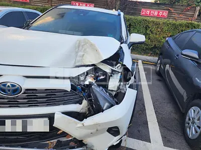 2019 toyota rab 4 hybrid awd