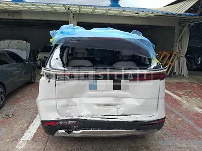 Photo 1 of 41: 2023 Kia Carnival Gasoline — Korean insurance auction