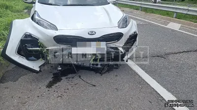 Photo 1 of 9: 2019 Kia Sportage 2.0, VIN KNAPR813BKK632232 — Korean insurance auction