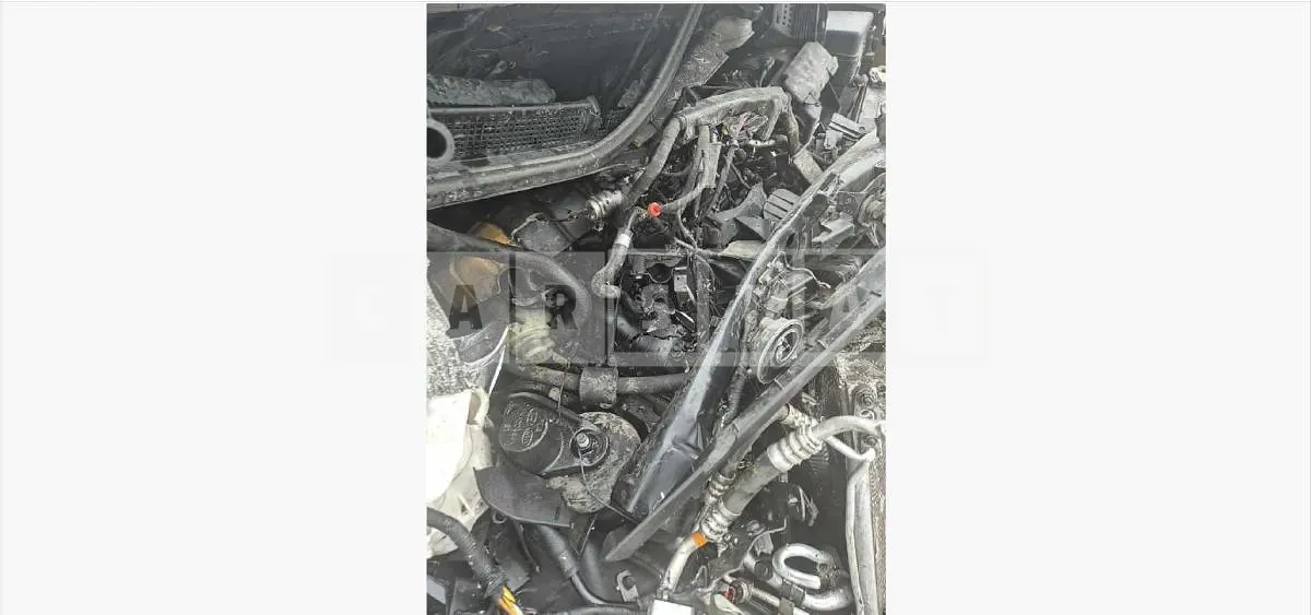 Photo 2 of 48: 2018 Kia Carnival 9 Seater — Korean insurance auction