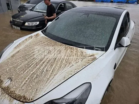 Photo 2 of 6: 2022 Tesla Model 3 LongRange — Korean insurance auction