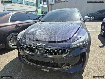 Photo 1 of 13: 2023 Kia Stinger, VIN KNAE351DBPS137319 — Korean insurance auction