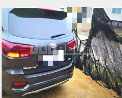 Photo 1 of 45: 2018 Kia Sorento — Korean insurance auction