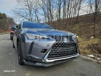 Photo 1 of 12: 2019 Lexus Ux 250h 2WD, VIN JTHY6JBH6K2001251 — Korean insurance auction