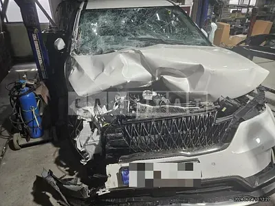 Photo 1 of 38: 2023 Kia Carnival 2.2 — Korean insurance auction