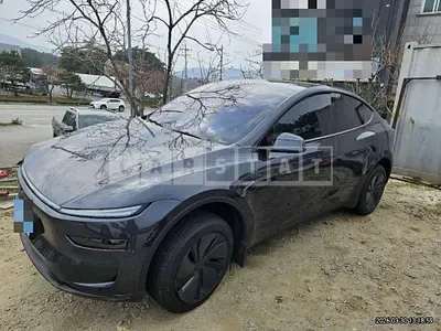 Photo 1 of 11: 2025 Tesla Model Y RWD — Korean insurance auction