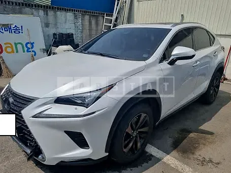 Photo 2 of 9: 2020 Lexus NX300h, VIN JTJHJRDZ8L5000796 — Korean insurance auction