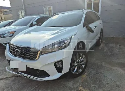 Photo 1 of 17: 2019 Kia Sorento — Korean insurance auction