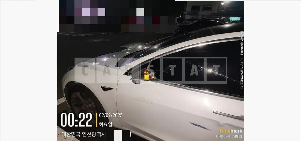 Photo 2 of 14: 2020 Tesla Model 3 Long Range — Korean insurance auction