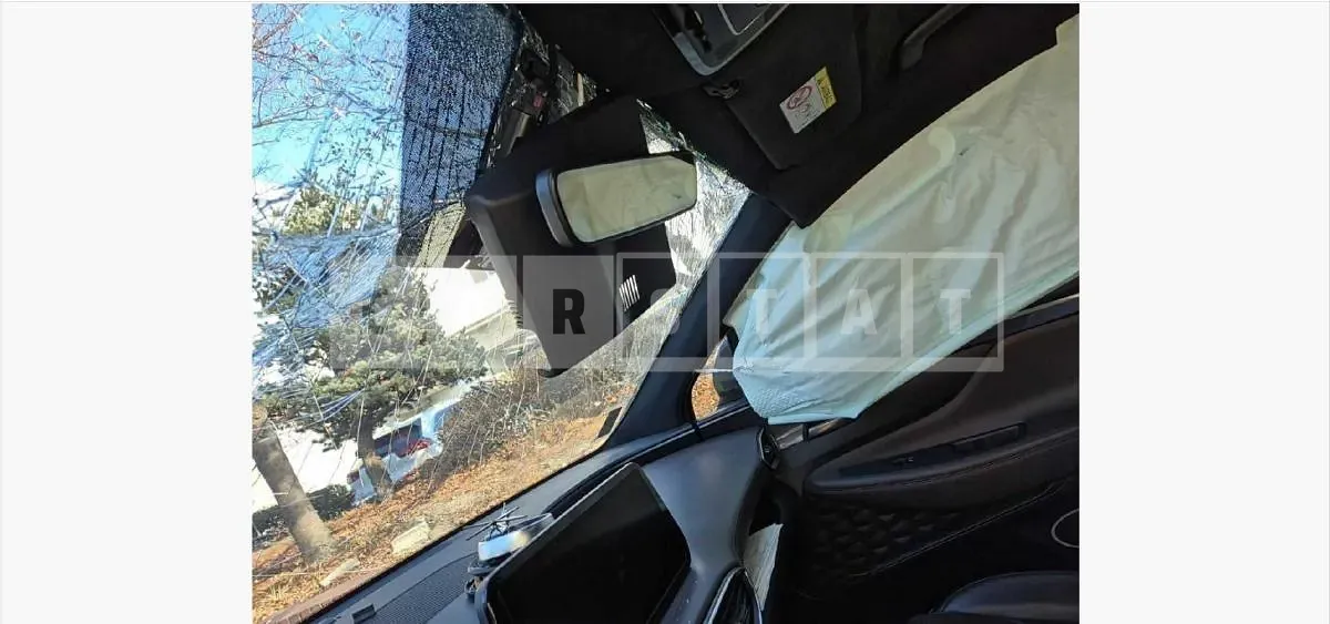Photo 2 of 16: 2020 Hyundai Santa Fe TM Diesel — Korean insurance auction