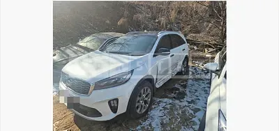 Photo 1 of 15: 2019 Kia Sorento — Korean insurance auction