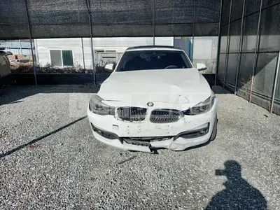 Photo 1 of 10: 2017 BMW 320d GT xDrive — Korean insurance auction