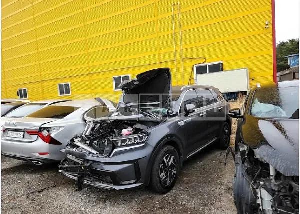 Photo 2 of 8: 2022 Kia Sorento, VIN KNARL81GBNA121527 — Korean insurance auction