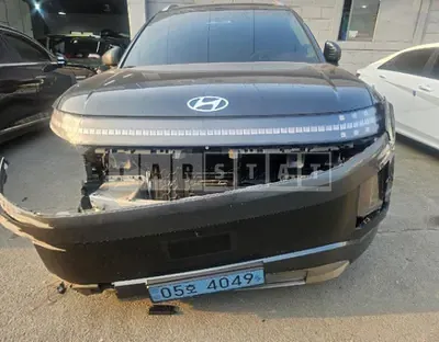 2025 * Hyundai Ioniq 9 (IONIQ 9)