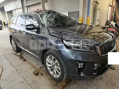 Photo 1 of 30: 2019 Kia Sorento, VIN KNAPK81ABKA518404 — Korean insurance auction