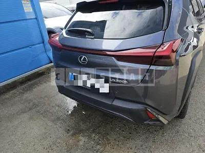 2025 Lexus UX300h 2WD