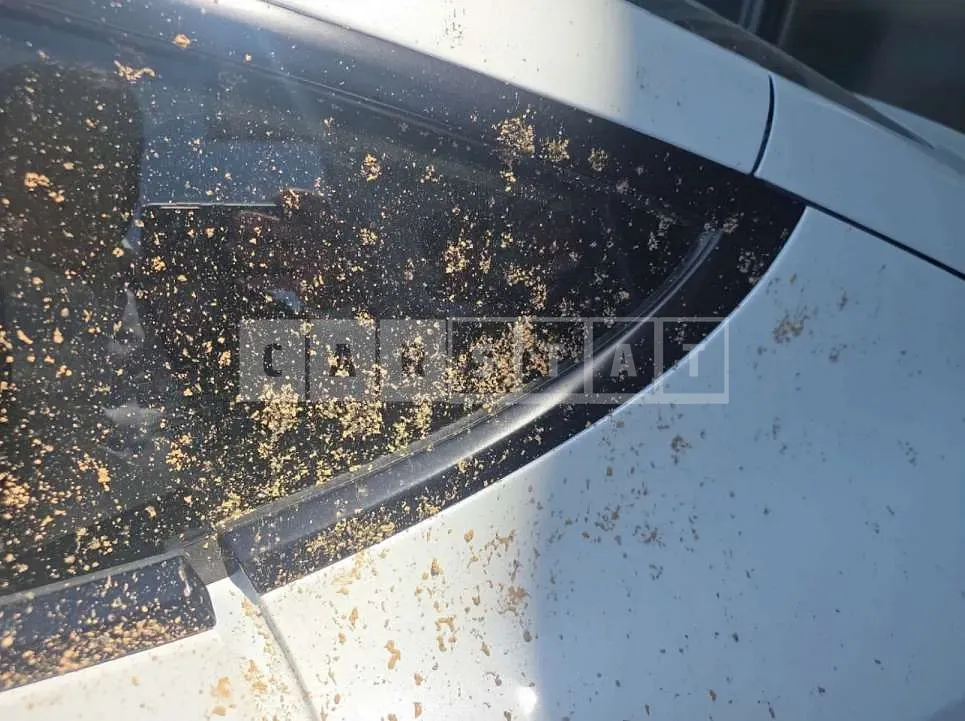 Photo 2 of 30: 2026 Tesla Model 3 Premium Long Range RWD — Korean insurance auction