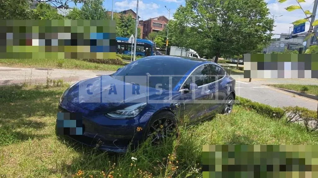 Photo 2 of 44: 2020 Tesla Model 3 Standard Range Plus RWD — Korean insurance auction
