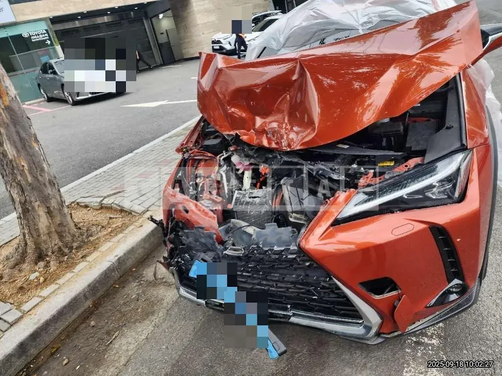 Photo 2 of 25: 2022 Lexus UX300e — Korean insurance auction