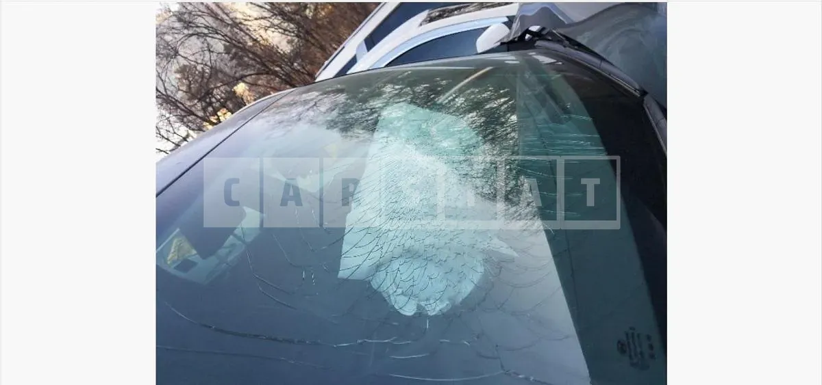 Photo 2 of 10: 2020 Hyundai Palisade Diesel 4WD — Korean insurance auction